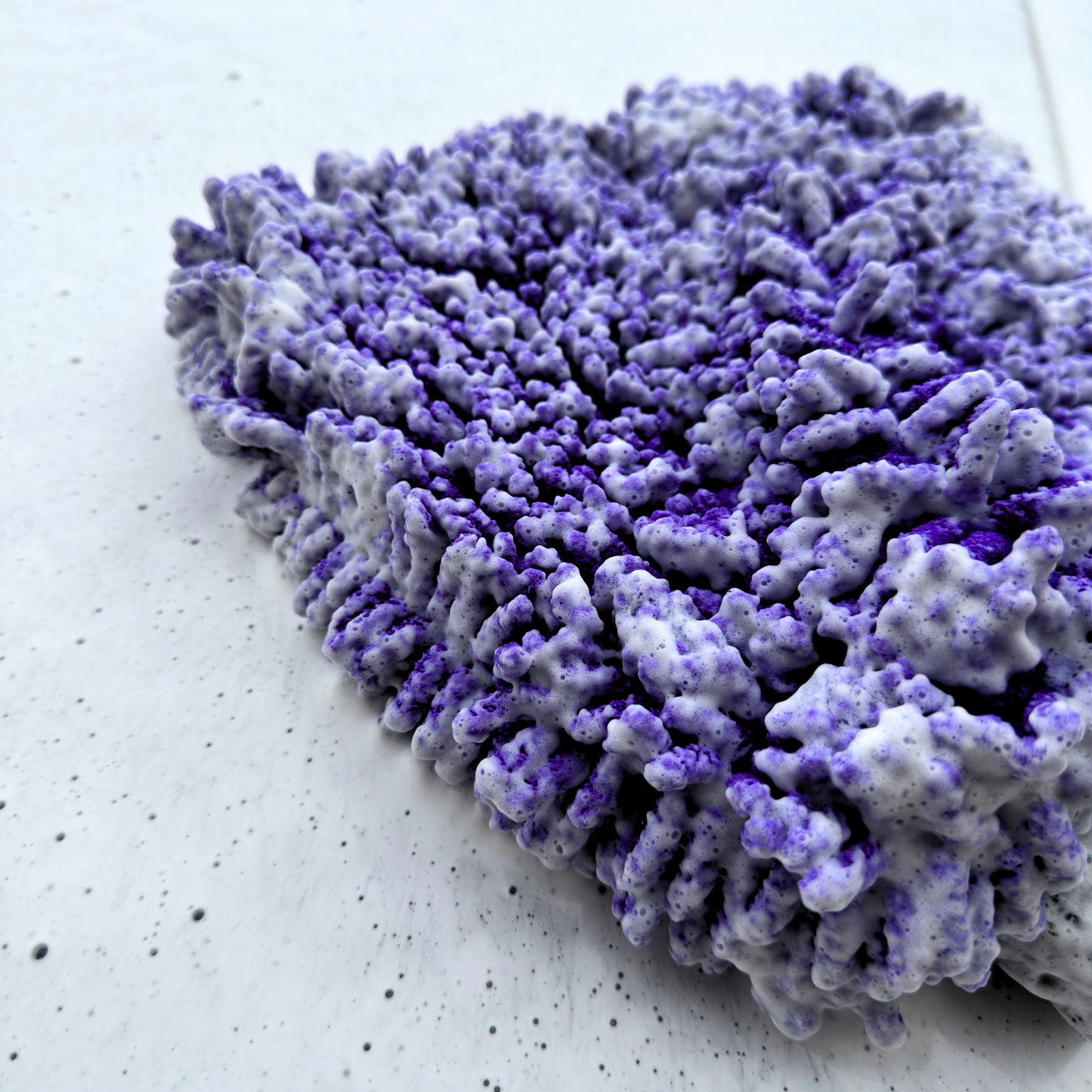 The 12x Wash Mitt